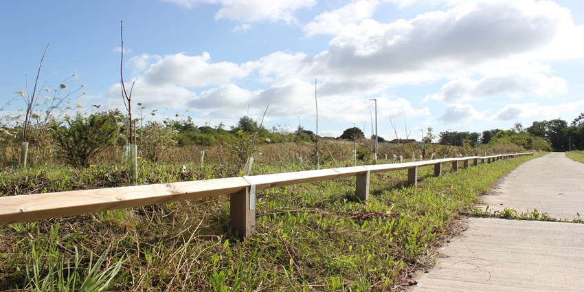 Safeguarding pedestrian pathways